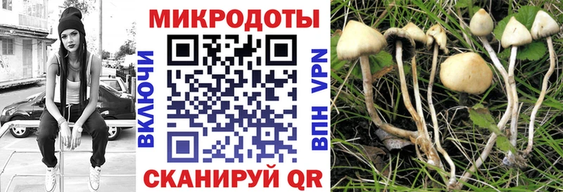даркнет сайт  Таруса  Псилоцибиновые грибы MAGIC MUSHROOMS 